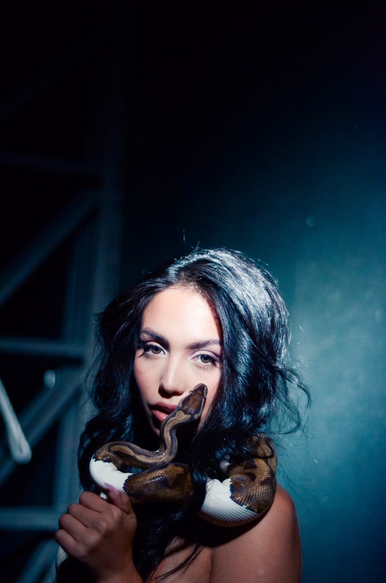 Book